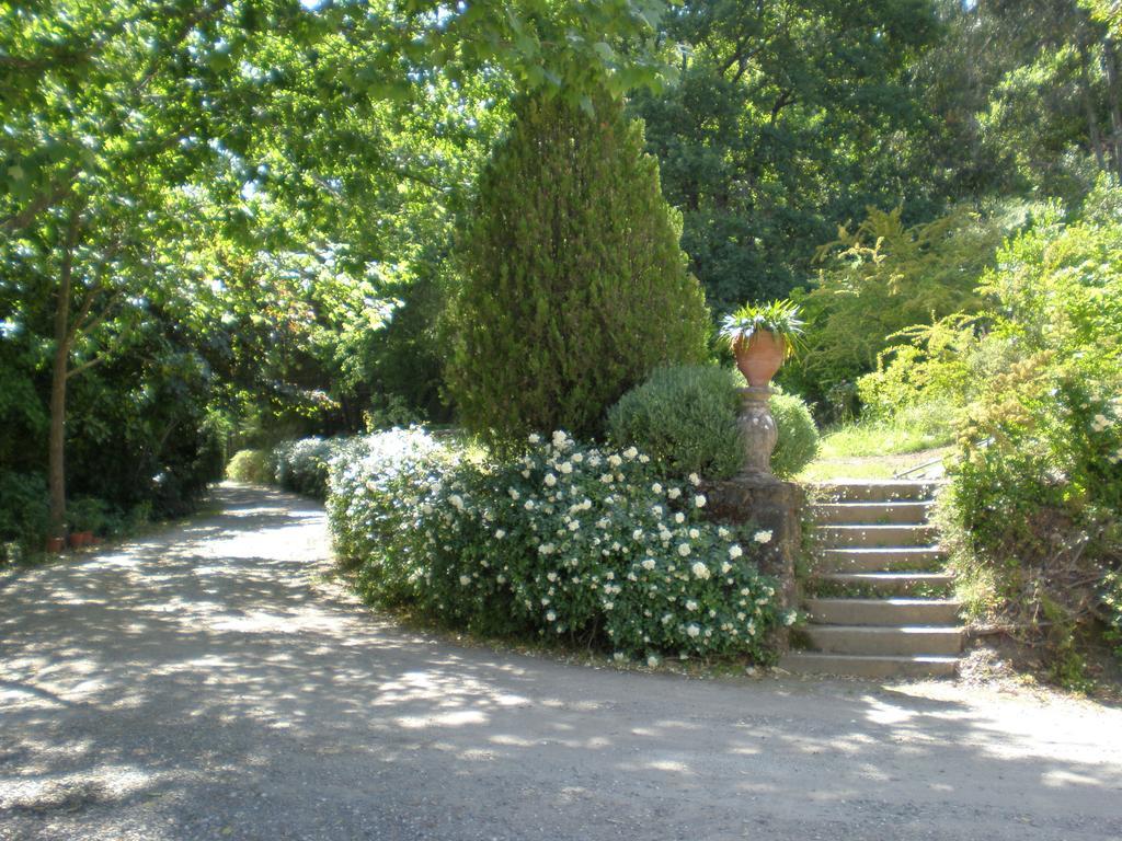Quinta Da Vargem Unhais Da Serra Bagian luar foto